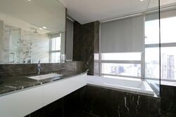 Sky@Eleven (D11), Condominium #334743891